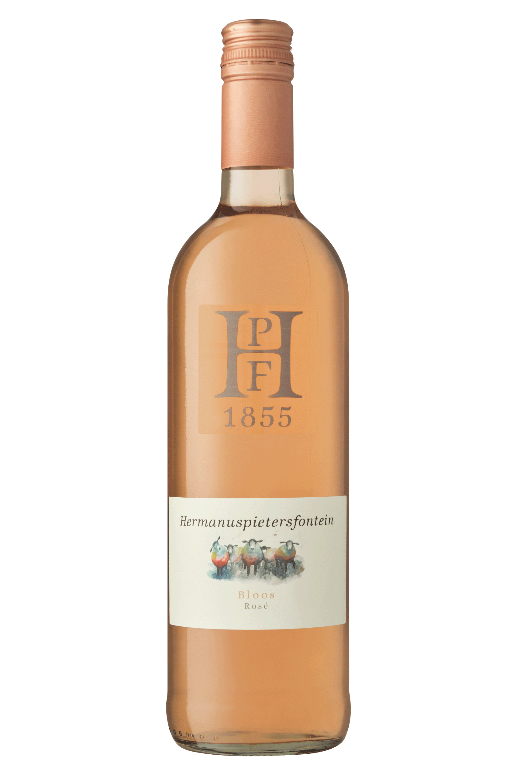 HPF-Bloos---600x900 (1)
