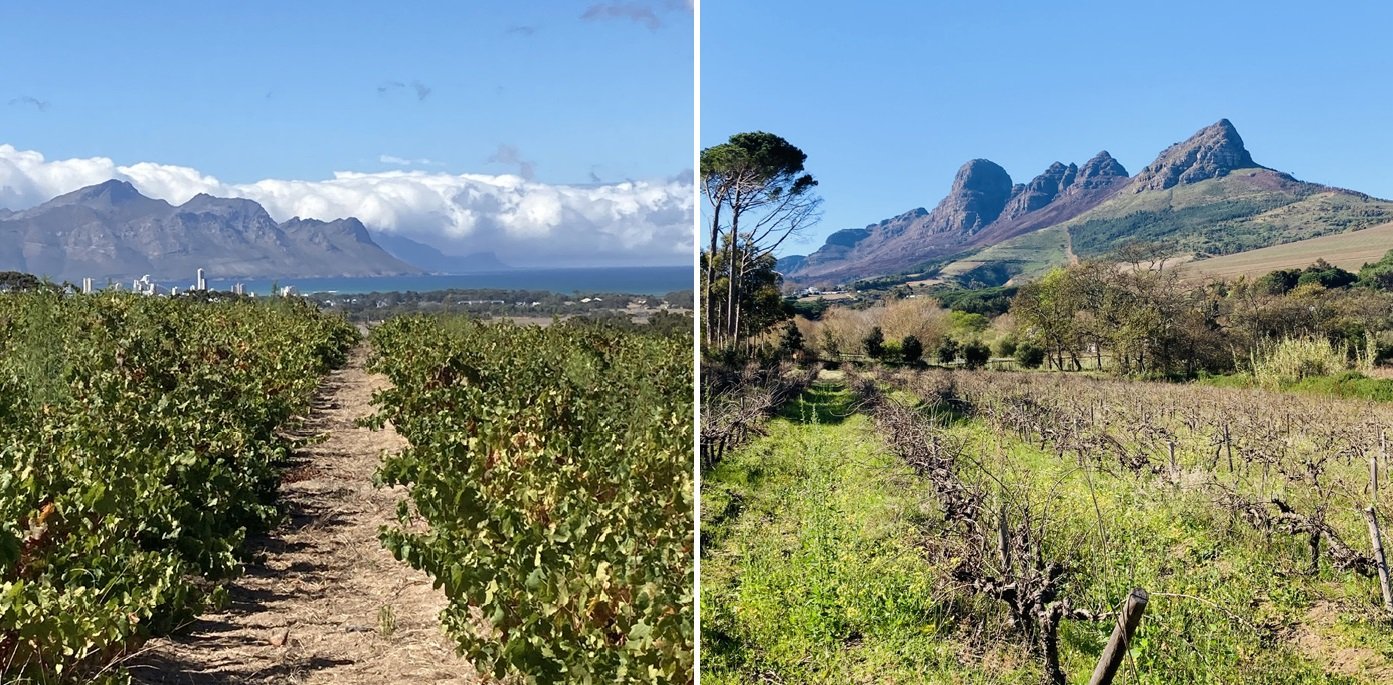 Display of Terroir in Stellenbosch