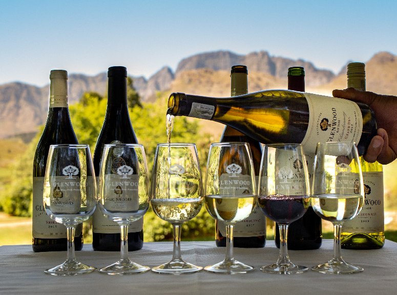 south african wine events
