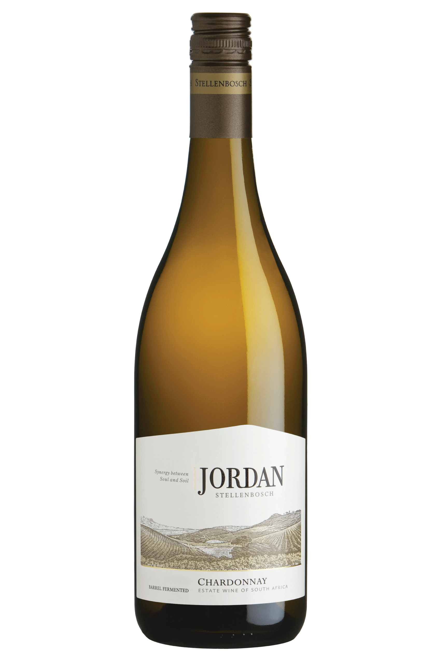 Jordan-Chard--600x900 Jordan-Chard--600x900