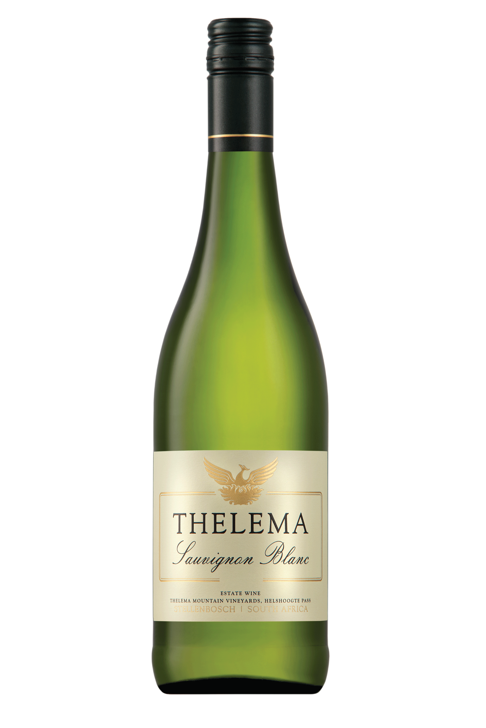Thelema-Sauv---60x900 Thelema-Sauv---60x900